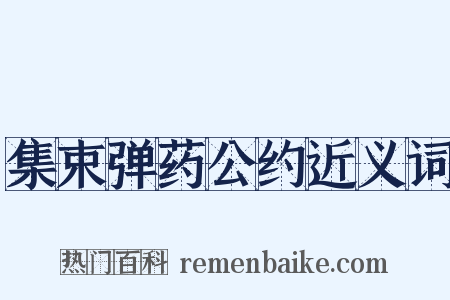集束弹药公约近义词是什么意思的图片